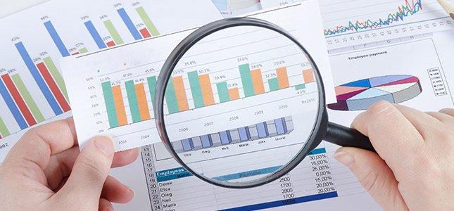 Şirket Araştırması Hizmeti